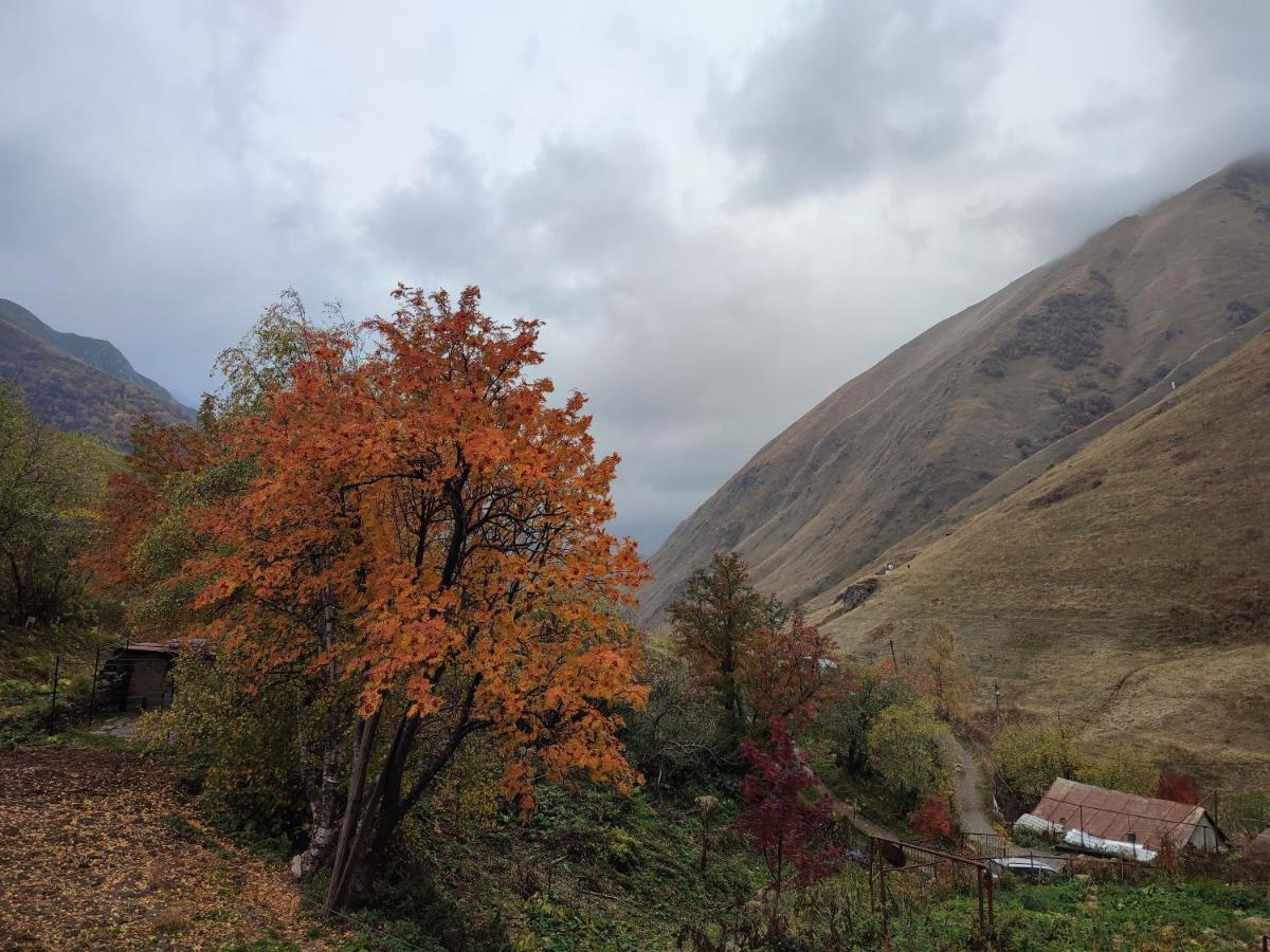 Amo-Isuntke Hotel Juta Buitenkant foto